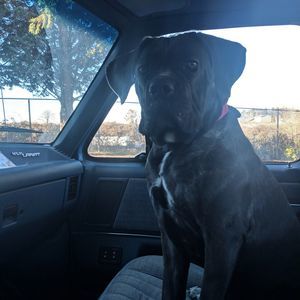 Meet your Posher, Shaun